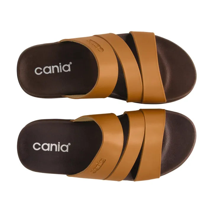 CANIA CLAQUETTE 3 BANDES MIEL