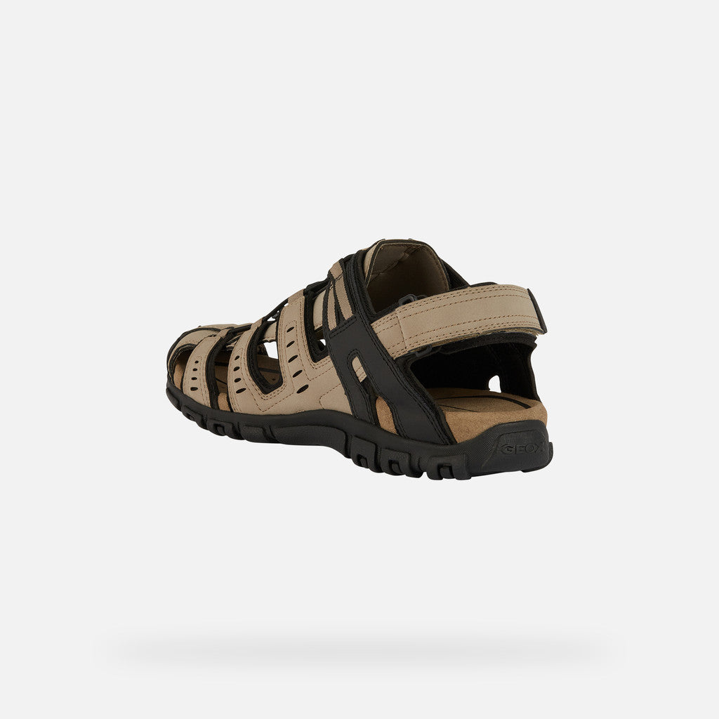 GEOX strada homme