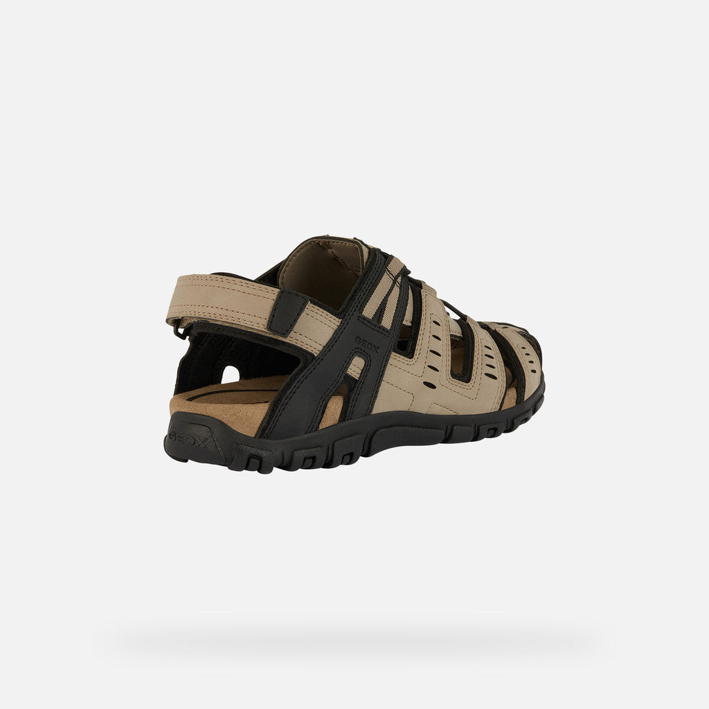GEOX strada homme