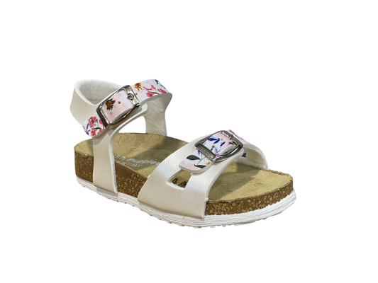 الجراء الصمت كومبي الأبيض